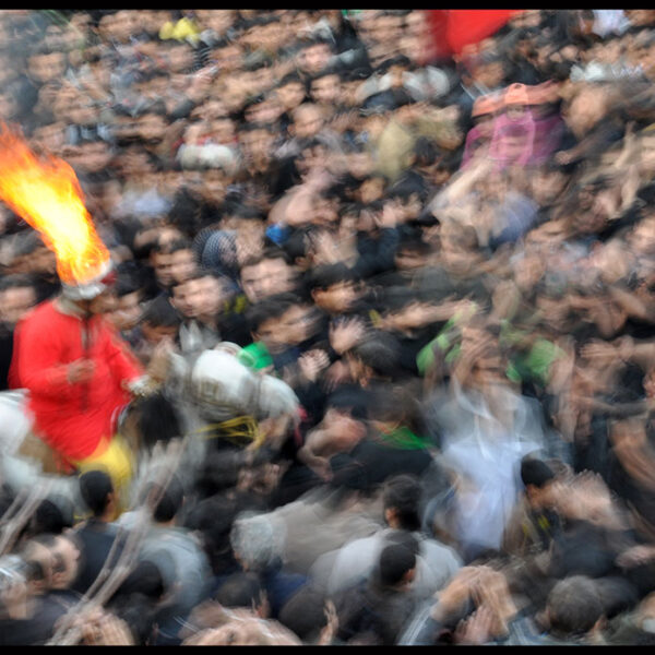 Seyyed-Ali-Seyyedi-(12)