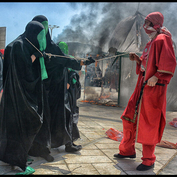 Seyyed-Ali-Seyyedi-(15)