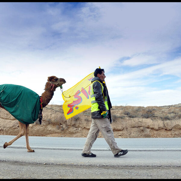 Seyyed-Ali-Seyyedi-(2)