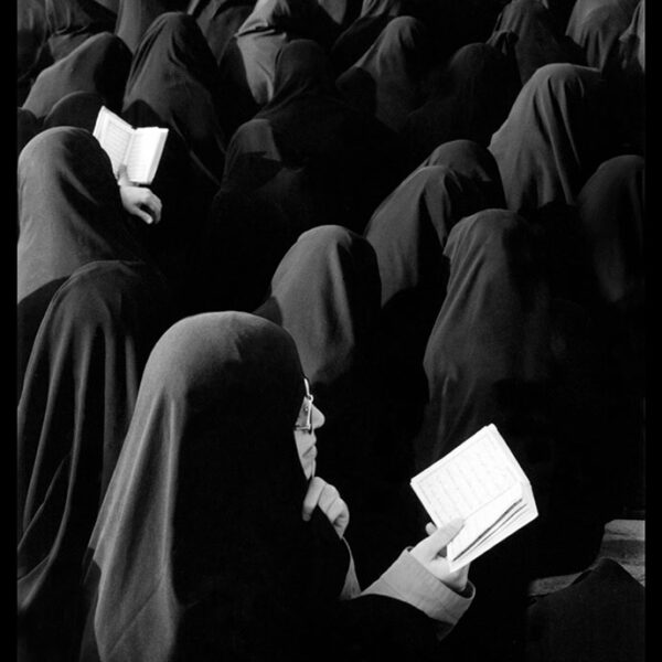 Seyyed-Ali-Seyyedi-(21)