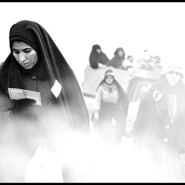 Seyyed-Ali-Seyyedi-(3)