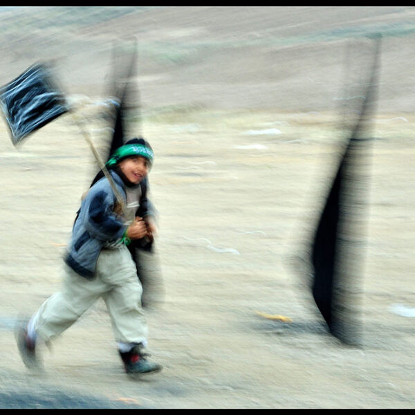 Seyyed-Ali-Seyyedi-(6)