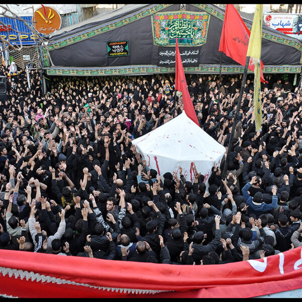 Seyyed-Ali-Seyyedi-(7)