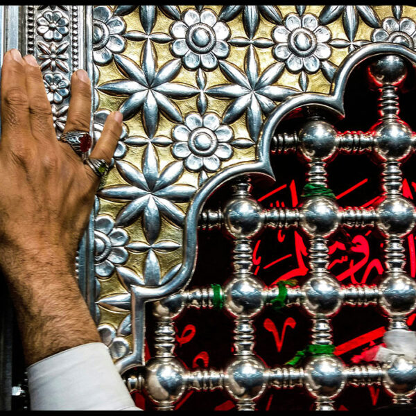 Farhad-Zargarian-Ahari-(16)