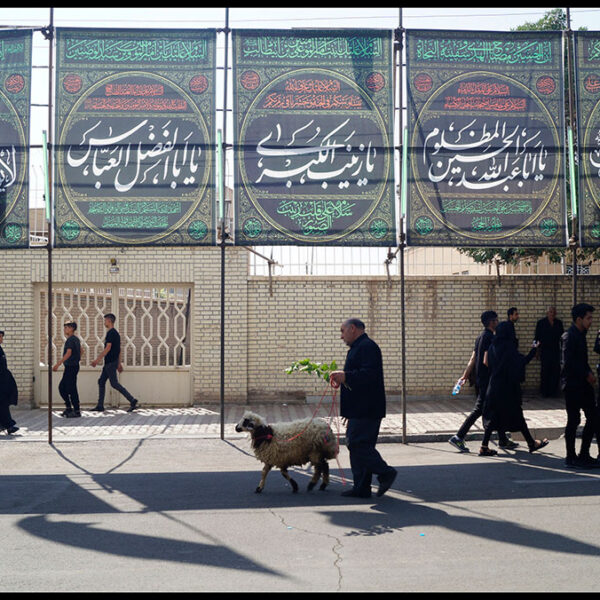 Farhad-Zargarian-Ahari-(19)