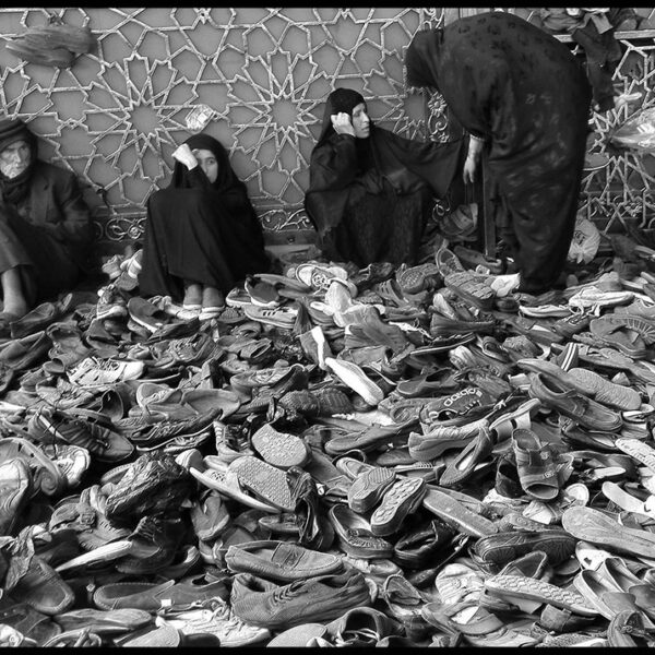 Farhad-Zargarian-Ahari-(25)