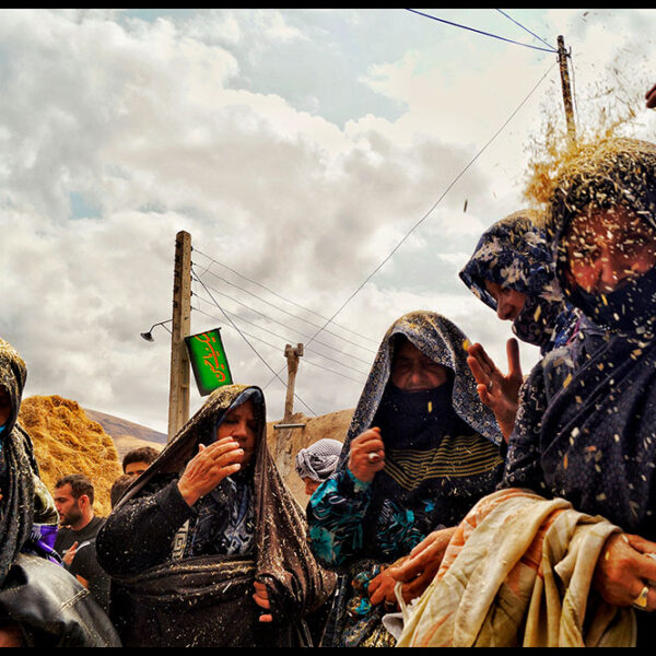 Farhad-Zargarian-Ahari-(4)