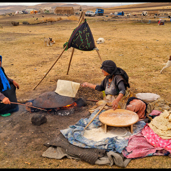 Farhad-Zargarian-Ahari-(5)