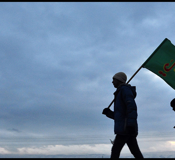 Mohammad hasan Bagheri (11)