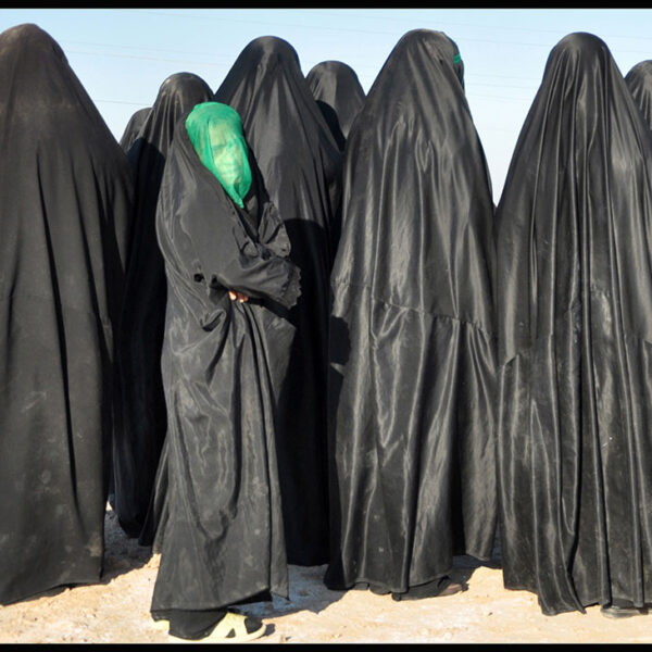 Mohammad hasan Bagheri (21)