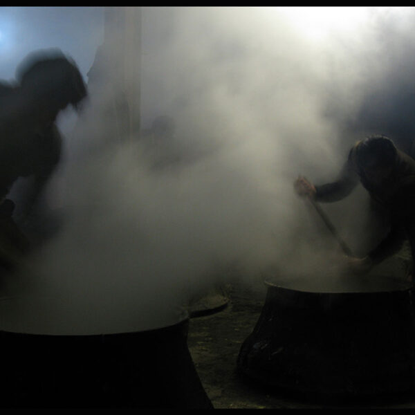 Mohammad hasan Bagheri (23)