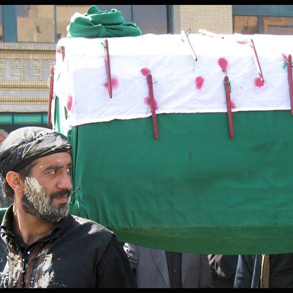 Mohammad hasan Bagheri (3)