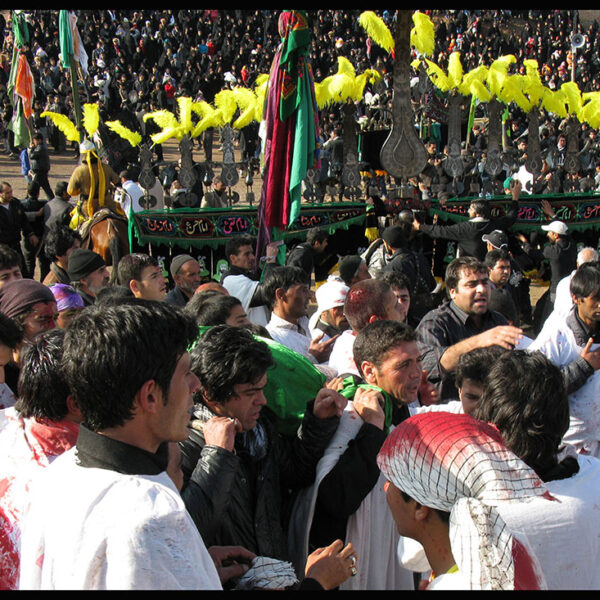 Mohammad hasan Bagheri (5)