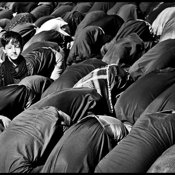 Seyyedeh-Niloufar-Mahmoudian-(15)