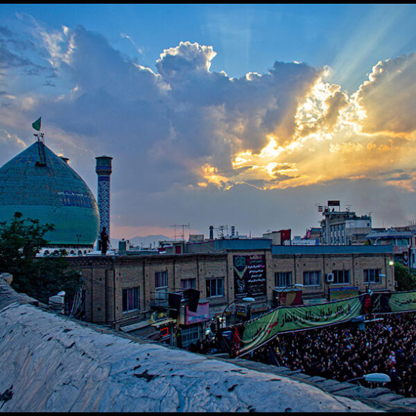 Seyyedeh-Niloufar-Mahmoudian-(18)