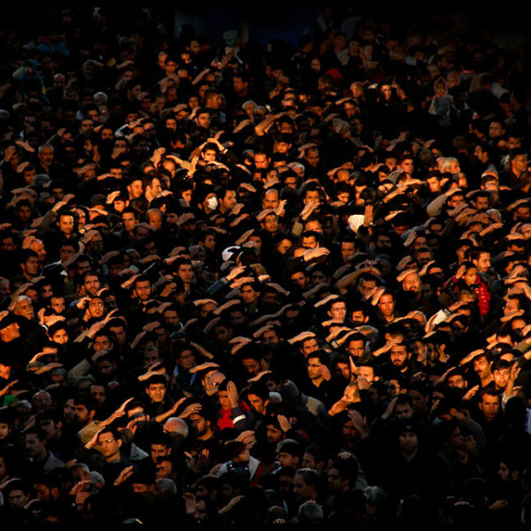 Seyyedeh-Niloufar-Mahmoudian-(21)