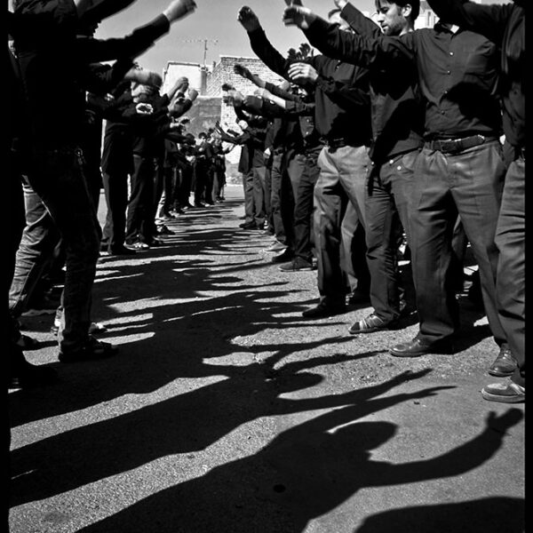 Seyyedeh-Niloufar-Mahmoudian-(27)