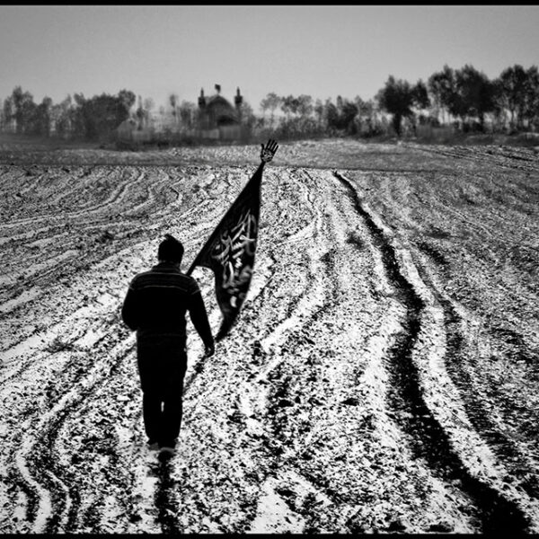 Seyyedeh-Niloufar-Mahmoudian-(3)