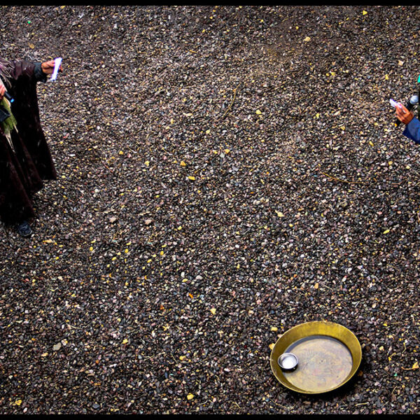 Seyyedeh-Niloufar-Mahmoudian-(6)