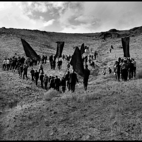 Seyyedeh-Niloufar-Mahmoudian-(7)