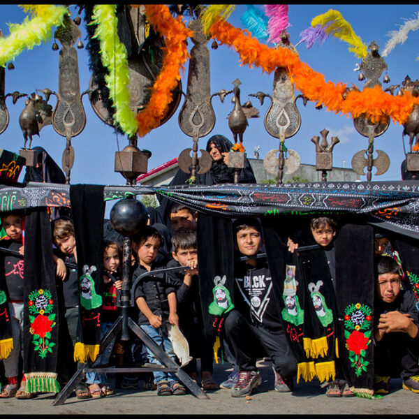 Seyyedeh-Niloufar-Mahmoudian-(8)