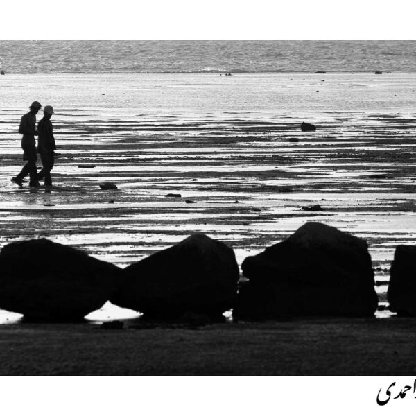 Davood--Yarahmadi-(1)