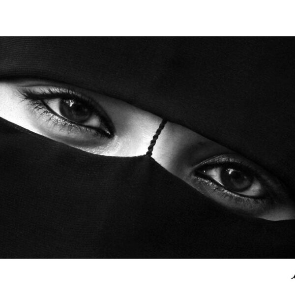 Dr.-Hamed-Niroumand-(1)