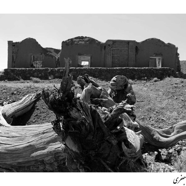 Dr. Hamideh Jafari (1)