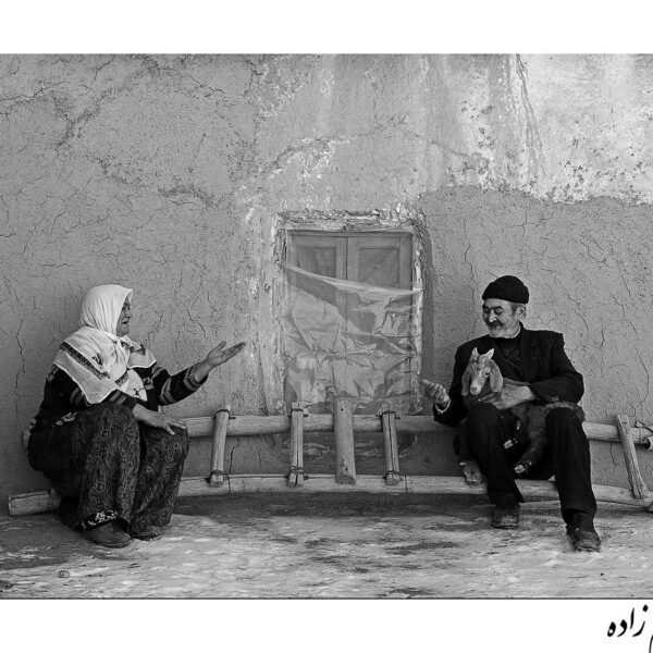 Farnaz-Ghasemzadeh-(1)