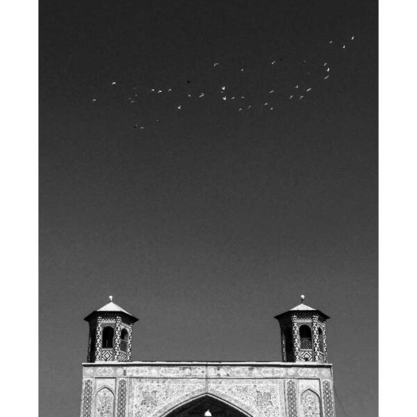 Haleh-Parsazadegan-(1)