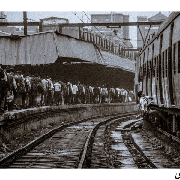 Mohammad-Hamed-Asadi-(1)