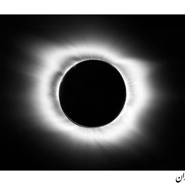 Mohammadjavad-Saffaran-(1)