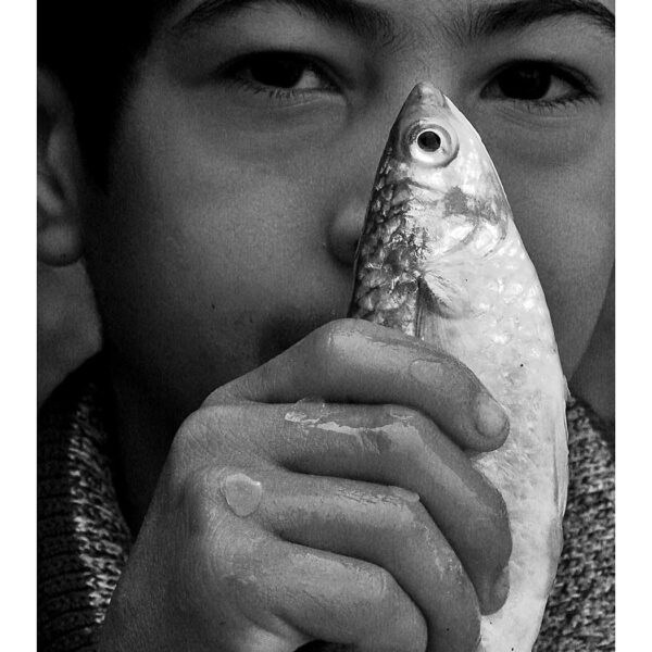 Seyyed-Mahdi-Amiri-(1)