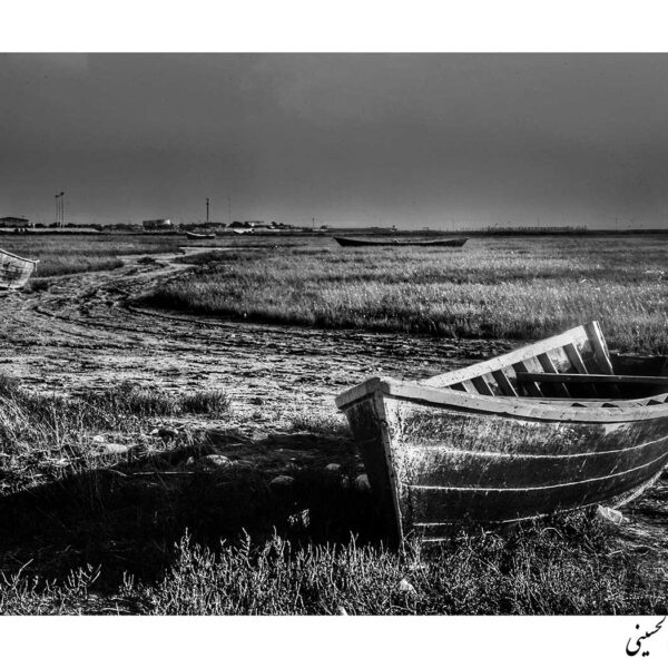 Seyyed-Mostafa-Seyyed-Al-Hosseini-(1)