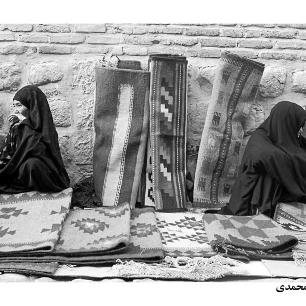 Seyyed-Saeid-Mirmohammadi-(1)