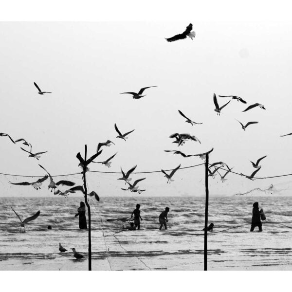 Seyyedi-Hamid-Seyyedi-(1)