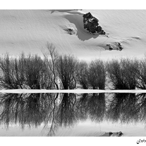 Shahrokh--Davoodi-(1)