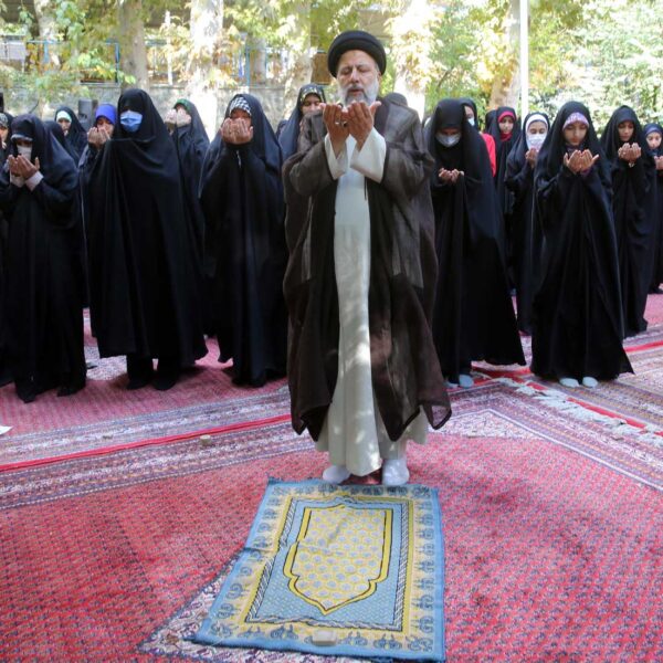 behzad janozorgi (16)