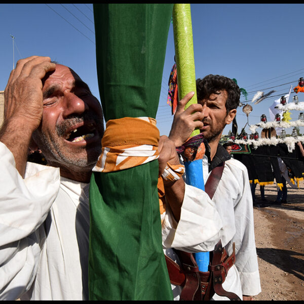 Ardalan Hassanalizadeh (11)