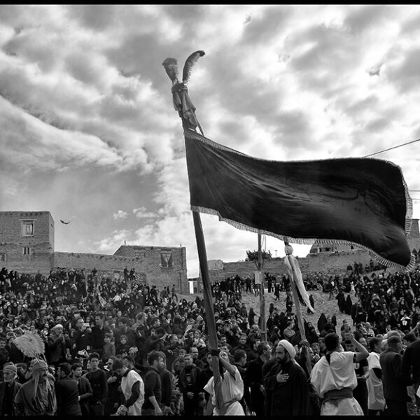 Ardalan Hassanalizadeh (14)