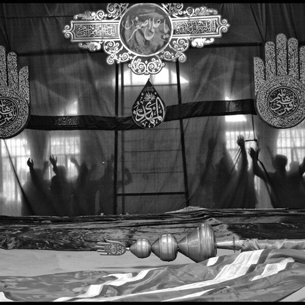 Ardalan Hassanalizadeh (17)