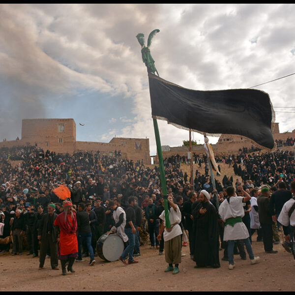 Ardalan Hassanalizadeh (4)