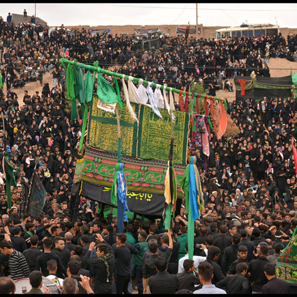 Ardalan Hassanalizadeh (5)