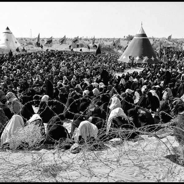 Ardalan Hassanalizadeh (7)