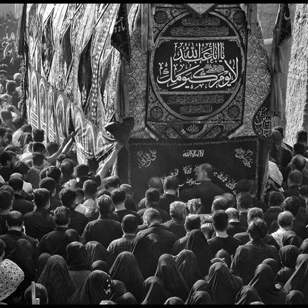 Ardalan Hassanalizadeh (8)