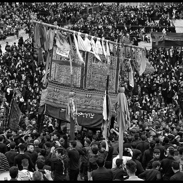 Ardalan Hassanalizadeh (9)