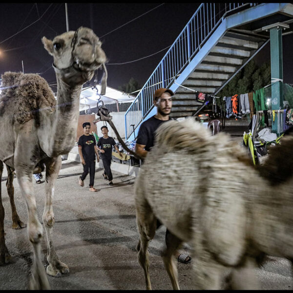 Mahdi-Khoshnejad-(17)